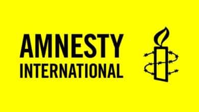amnesty