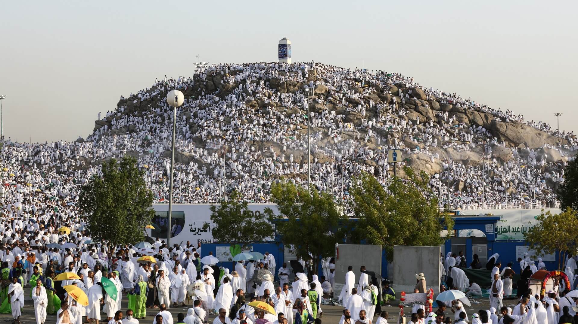 arafa