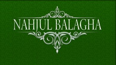 nehcul_belage